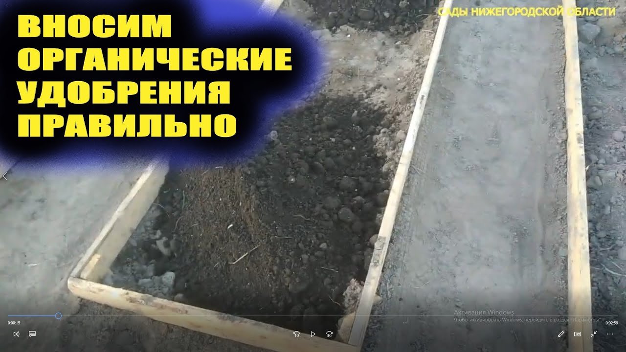 Подготовка грядок к посадкам.Вносим сапропель смотреть онлайн