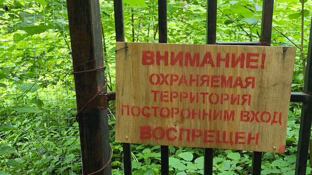Вход к Усадьбе графа Орлова-Давыдова《Отрада》🏛 смотреть онлайн