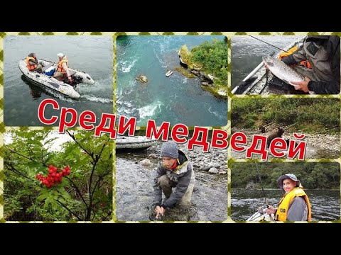 Один день с медведями. Сплав по реке Быстрая. Рыбалка на Камчатке смотреть онлайн