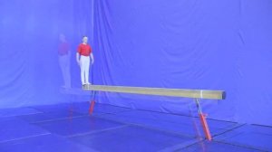 Упражнение 22. Передвижение по узкой опоре (НФП-2009)