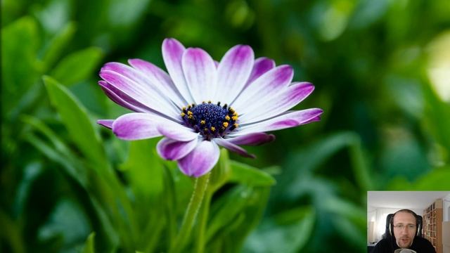 Gynvael's Livestream #10: OSDev #2 (11.05.2016 19:00) смотреть онлайн