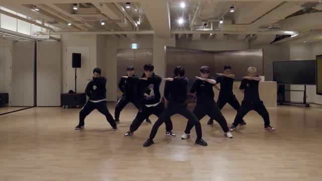TAEMIN - IDEA Dance Practice [MIRRORED]