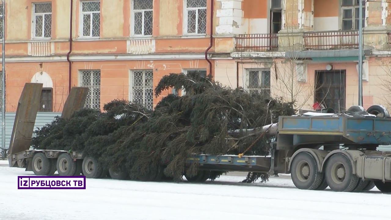 Символ Нового года смотреть онлайн