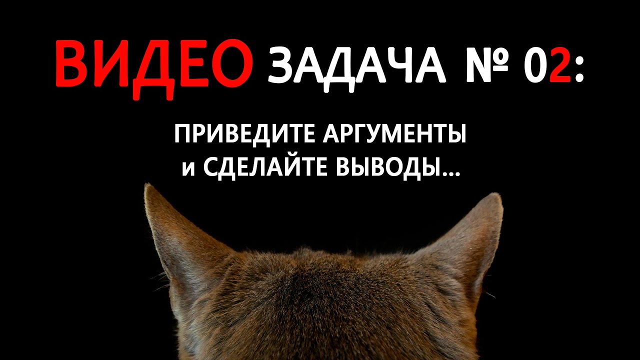 ВИДЕО-ЗАДАЧА № 02: ПРИВЕДИТЕ АРГУМЕНТЫ и СДЕЛАЙТЕ ВЫВОДЫ… смотреть онлайн