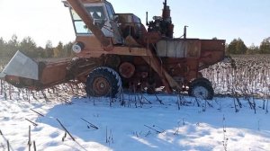 Уборка подсолнечника со снегом или снега с подсолнечником)
