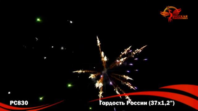 Гордость России , фейерверк РС830 (1,2"х37) смотреть онлайн