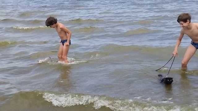 5.07.2023 Шлёпа и Муся открыли плавательный сезон на нашей Волге смотреть онлайн