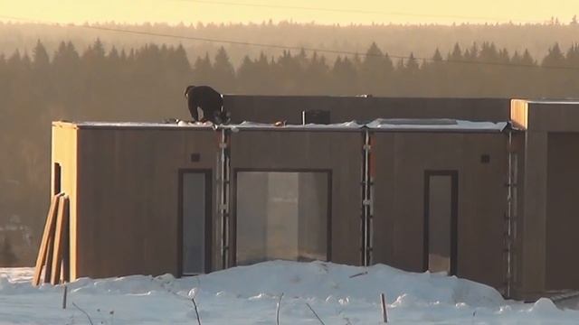 Разыгрываем дом! Скаут89 со связью / СтройХлам проверяет каркасный дом / Продувка аэродверью смотреть онлайн