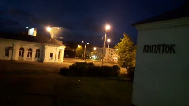 Лось пробежал по Великому Новгороду у вокзала. смотреть онлайн