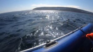 Рыбалка на кильдине восточном!!!Сильный ветер, конец мая 2019г