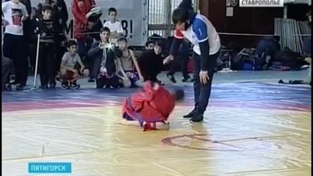 Чемпионат Ставрополья по боевому самбо 2013 смотреть онлайн
