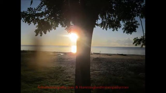 Lake Malawi her Beauty & People смотреть онлайн