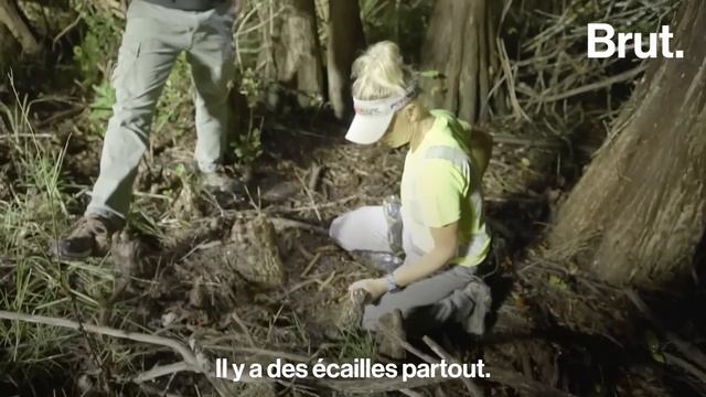 Agente immobilière, elle est devenue chasseuse de pythons смотреть онлайн