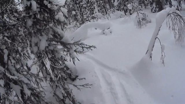 Проверка капканов. смотреть онлайн
