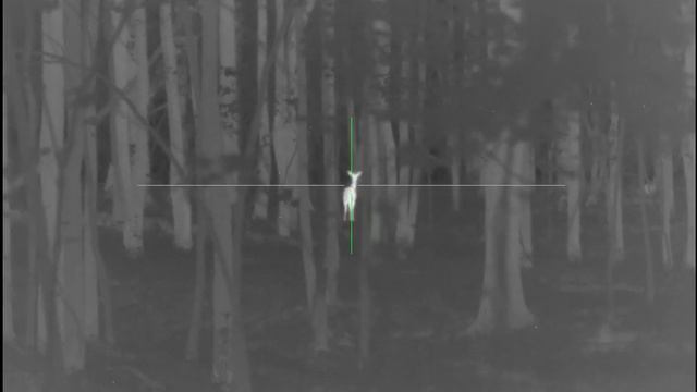 Pulsar Thermion XP38 Thermal Rifle Scope смотреть онлайн
