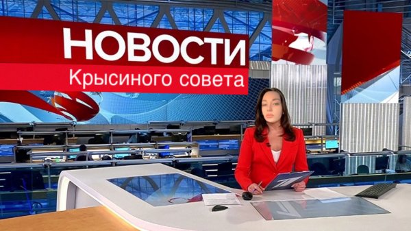 Крысиные новости! Вся правда о звёздах?