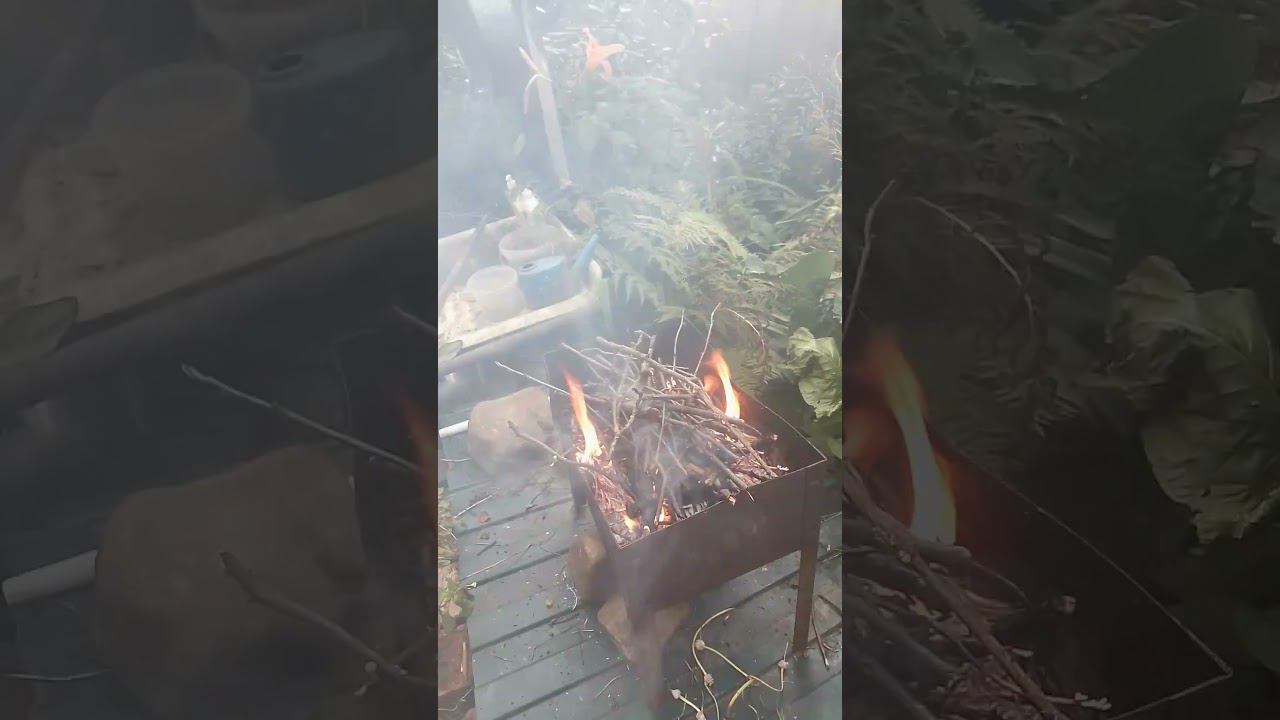 Подготовка к дачным шашлычкам) #шашлык смотреть онлайн
