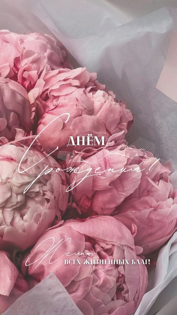 Желаю радоваться жизни
И исполнять свои мечты.
А мир пусть будет живописным —
Таким, как только хоче смотреть онлайн