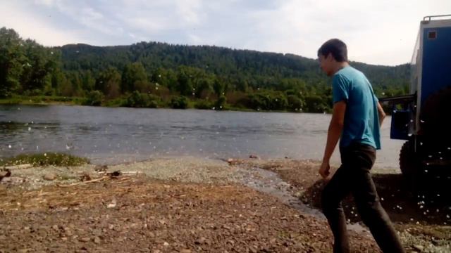 очень много бабочек смотреть онлайн