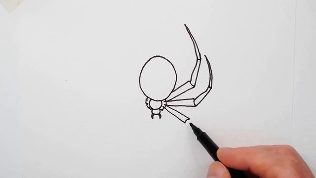 Spider drawing — How to draw a Black Widow Spider step by step смотреть онлайн