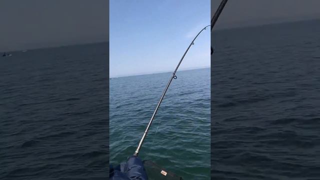 Рыбалка на омуля на Байкале смотреть онлайн