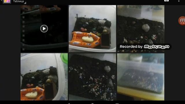 Как снимать видео и играть одновременно смотреть онлайн