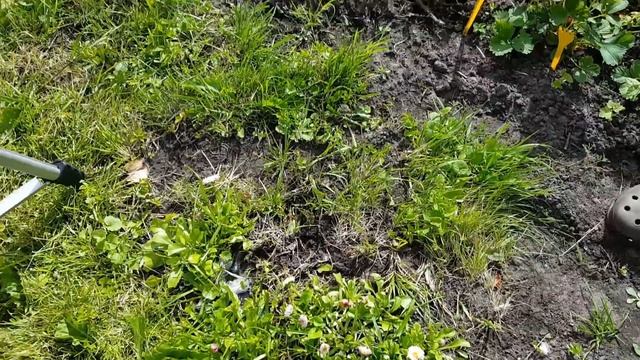 Как поймать Медведку! Восставшие из ада. смотреть онлайн