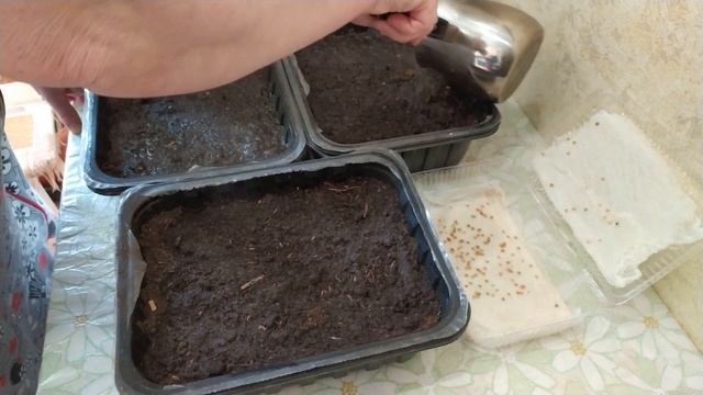 ?ЧТО САЖАТЬ НА ОГОРОДЕ В ЭТОМ ГОДУ БУДЕМ? СОВЕТЫ ОГОРОДНИКАМ. смотреть онлайн