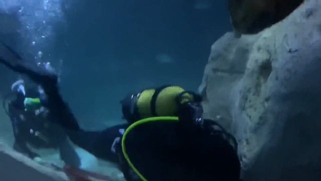 Istanbul Aquarium (Must visit Area in Istanbul Aqua Florya Mall seafront mall смотреть онлайн