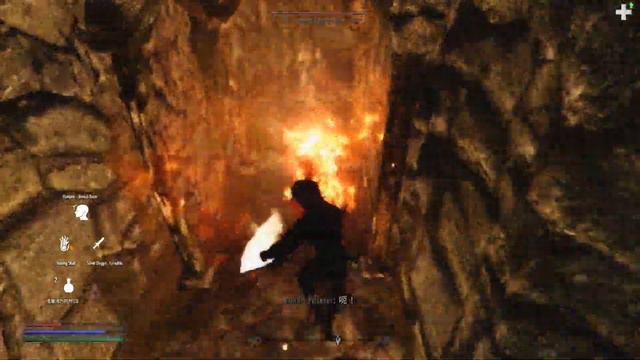 战斗系统极端强化后的流畅老滚5，无暂停，复杂动作，灵活切换战斗模式，集团战