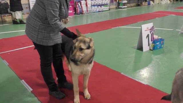 ЛЮ Таюр смотреть онлайн