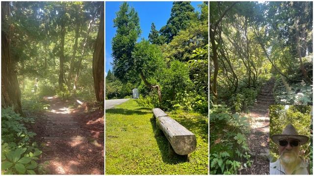 Поездка на остров Садо. День 3. Прогулка по кедровому лесу и исследование западного побережья. смотреть онлайн