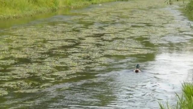 ЛЕВЫЙ БЕРЕГ ЯУЗЫ смотреть онлайн