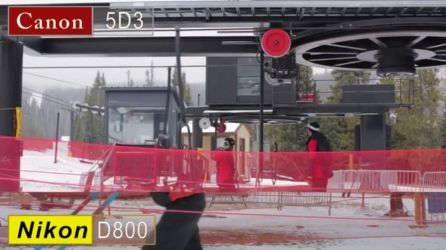 Какой фотоаппарат лучше - Canon 5D Mark III или Nikon D800? смотреть онлайн