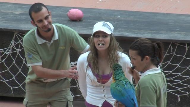 Jungle Park - Tenerife