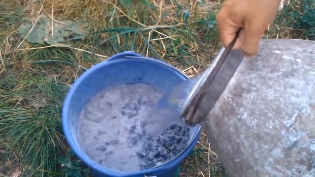 Когда подкармливать кабачки. Выращивание кабачков смотреть онлайн