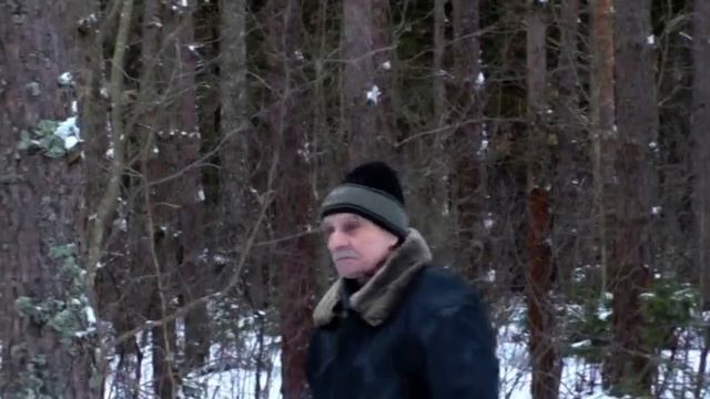 В Лесу Телеши нет проезда через лес Зимние Грибы. смотреть онлайн