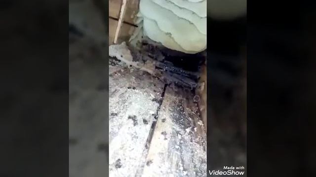 Добыча колодного мёда. (16.12.20г.) смотреть онлайн