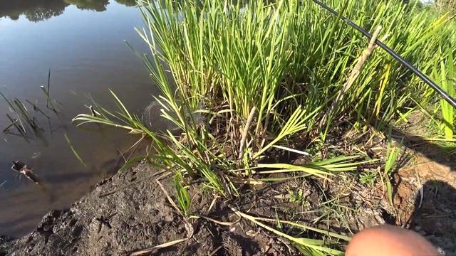 Как ловить карася на макушатник смотреть онлайн