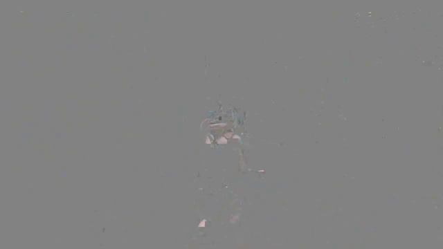 🔥 Хесус играет в Dead by Daylight || JesusAVGN 🔥 смотреть онлайн