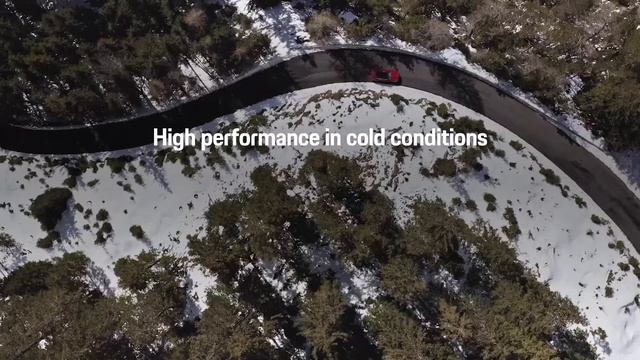 Porsche Winter Tires