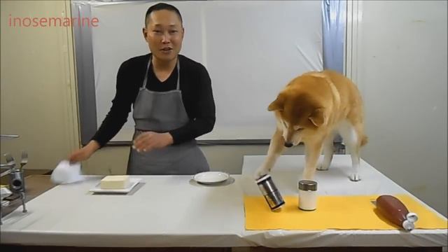 Shiba Inu - Gangster Troll смотреть онлайн