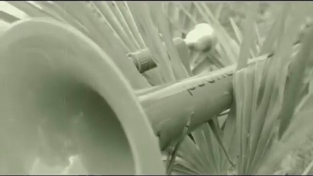 pBone teaser смотреть онлайн