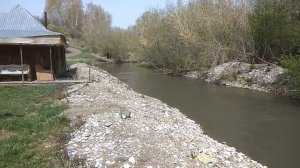Река. Село Алтайское Алтайский край