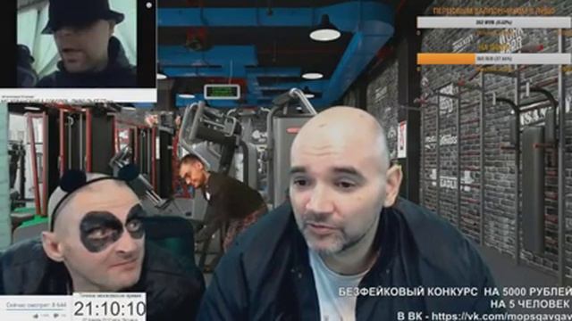 МОПС СМОТРИТ КЛИП -- ХОВАНСКОГО смотреть онлайн