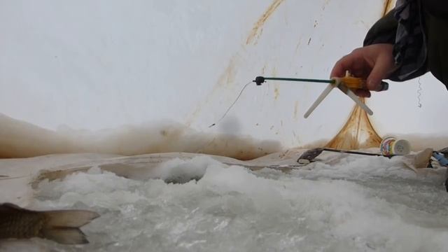 3-я Рыбалка Зима 2018 27.01.2018 Чаусовский пруд Белгородской обл. Ловим карасиков. смотреть онлайн