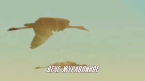Вече журавлиное. Баллада. Музыка Натальи Первиной, стихи Любови Чернышовой, исп. Любовь Великанова