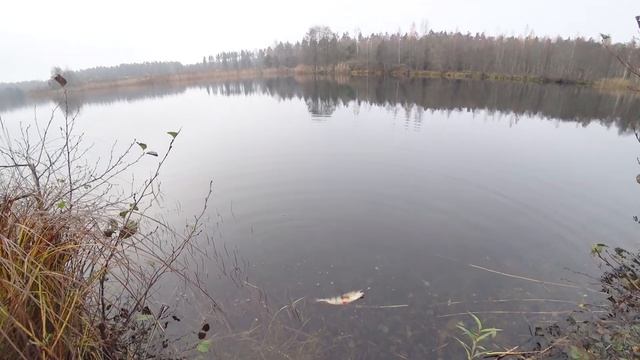 ЗДЕСЬ ВСЕГДА ЕСТЬ РЫБА!!! Возвращение смотреть онлайн