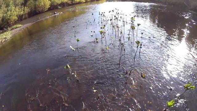 Одиночный поход по таёжным рекам. Лесная изба. Восемь дней один в тайге. Часть 1 смотреть онлайн