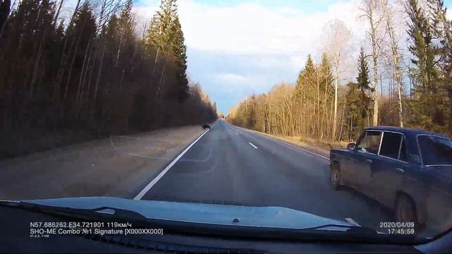 Встреча с кабаном! смотреть онлайн